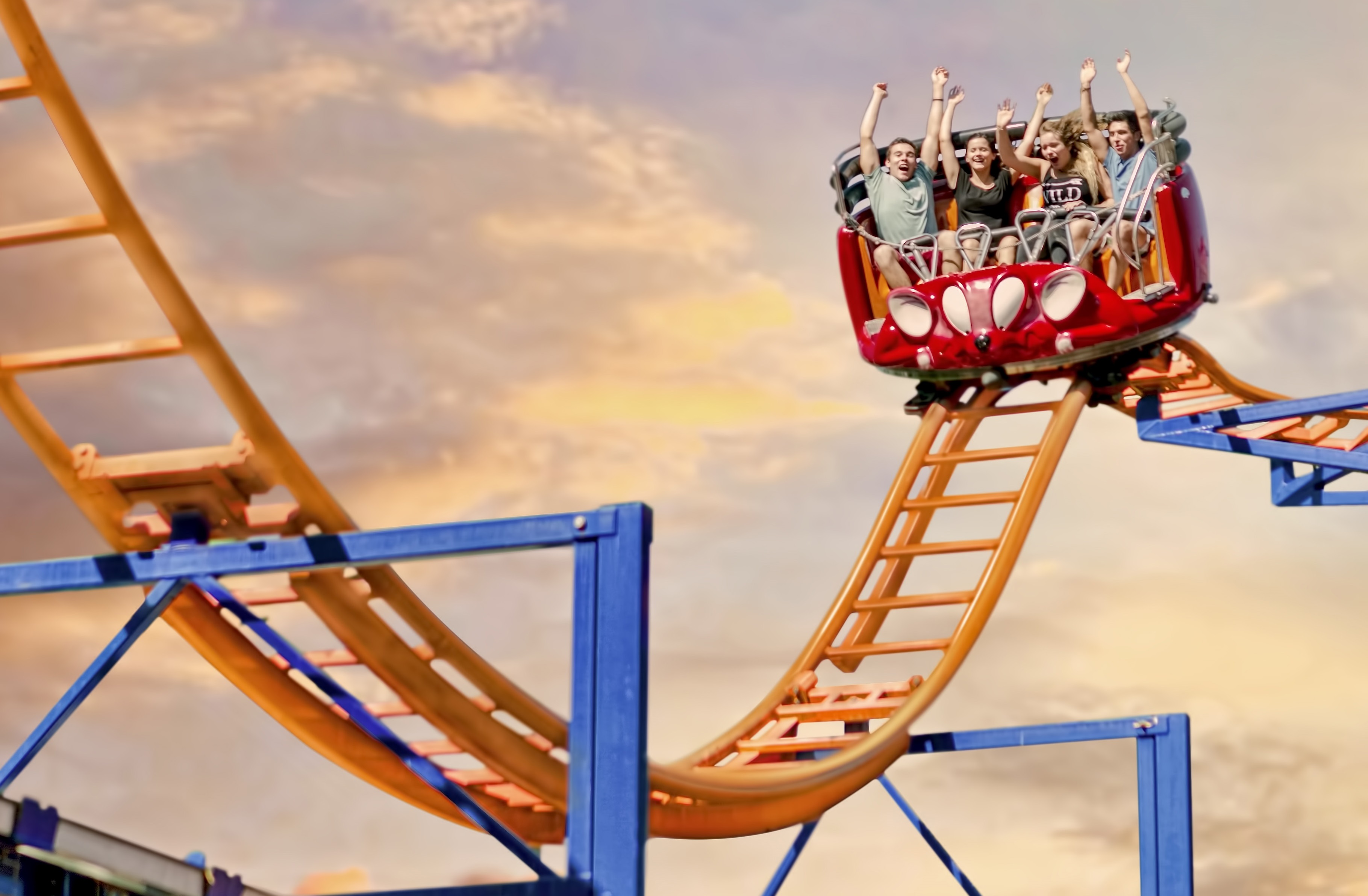 Wild Mouse